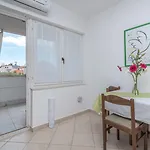 Vojin * טרוגיר