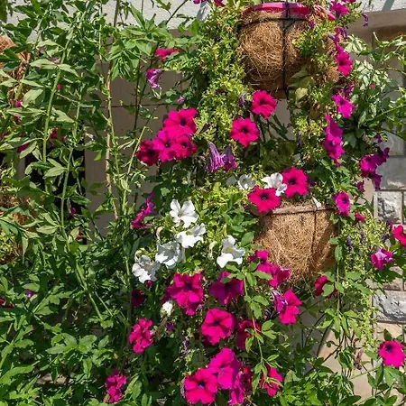 Apartamento Vojin Trogir