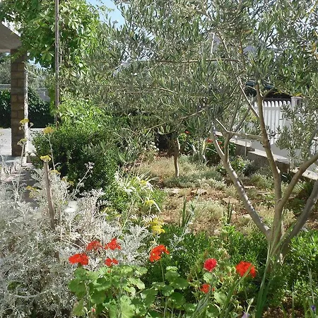 Apartment Vojin