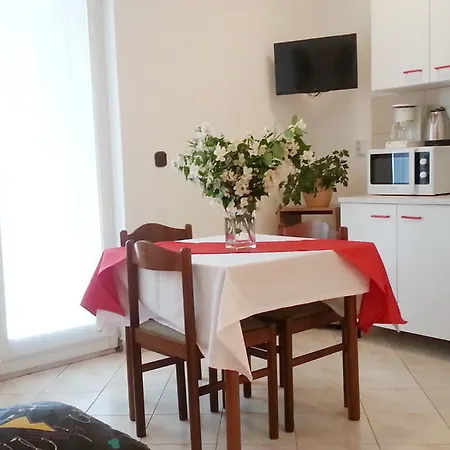 Apartment Vojin *