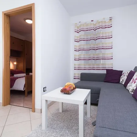Apartment Vojin *