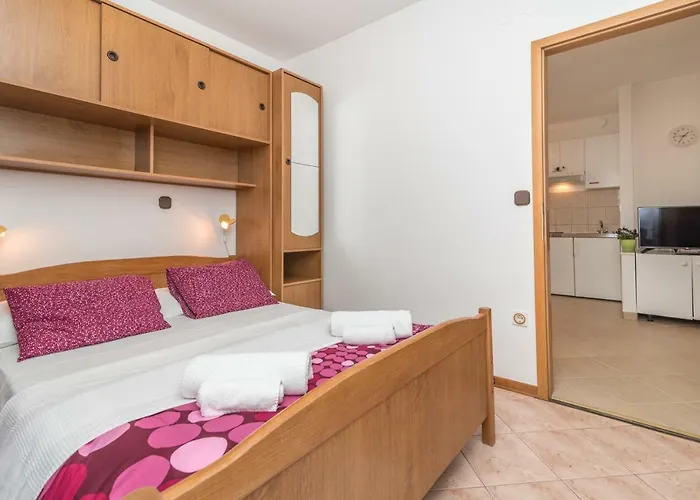 Apartment Vojin *